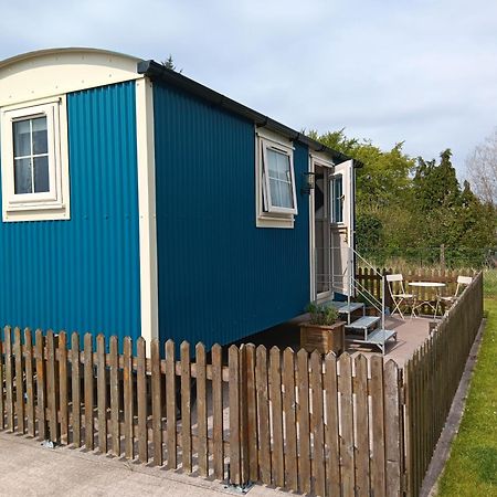 Shepherd Hut Bird Enniskillen, Fermanagh Zewnętrze zdjęcie