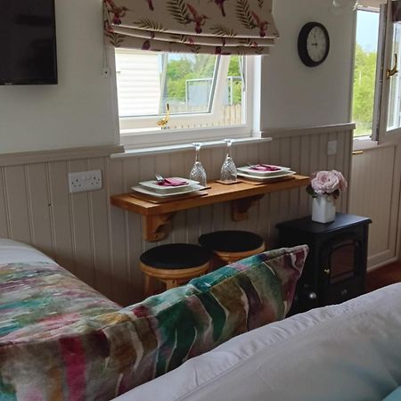 Shepherd Hut Bird Enniskillen, Fermanagh Zewnętrze zdjęcie