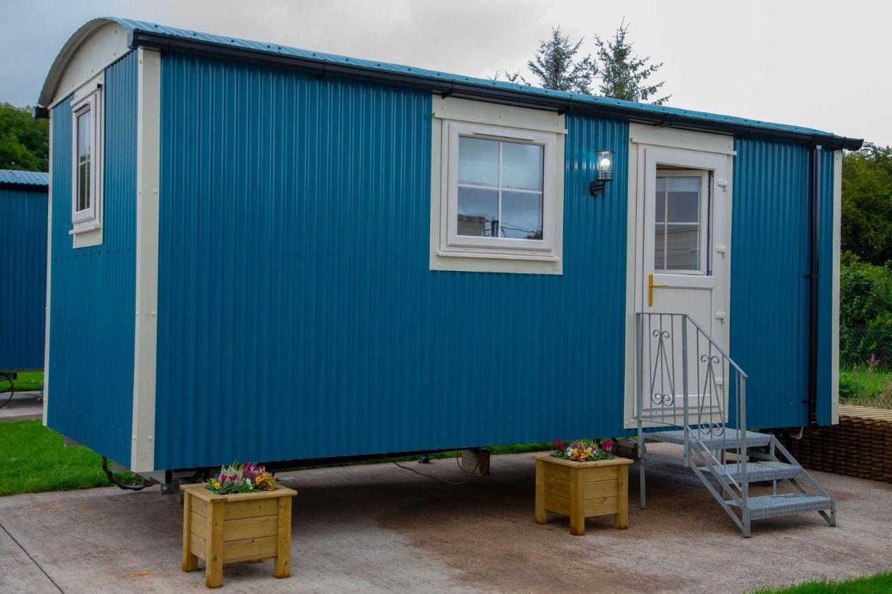 Shepherd Hut Bird Enniskillen, Fermanagh Zewnętrze zdjęcie